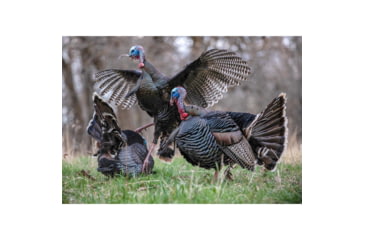 Image of Higdon Outdoors TruStrutter XS Motion Turkey, 12V Li-ion, 63175