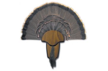 Image of Hunters Specialties Turkey Tail/Beard Mount Kit 00849