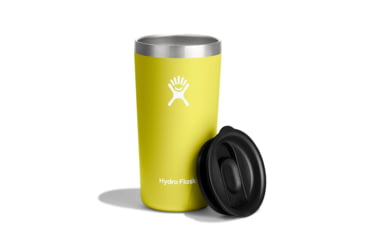 Image of Hydro Flask 12 Oz All Around Tumbler, Cactus, 12 oz, T12CPB752