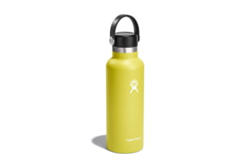 Image of Hydro Flask 18 Oz Standard Flex Cap, Cactus, 18 oz, S18SX752
