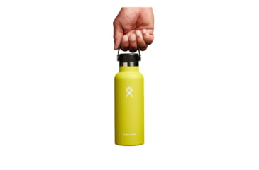 Image of Hydro Flask 18 Oz Standard Flex Cap, Cactus, 18 oz, S18SX752