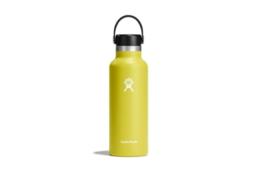 Image of Hydro Flask 18 Oz Standard Flex Cap, Cactus, 18 oz, S18SX752