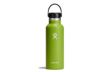 Image of Hydro Flask 18 Oz Standard Mouth Flex Cap, Seagrass, S18SX321