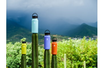 Image of Hydro Flask 32 Oz Wide Flex Cap, Lupine, 32 oz, W32BTS474