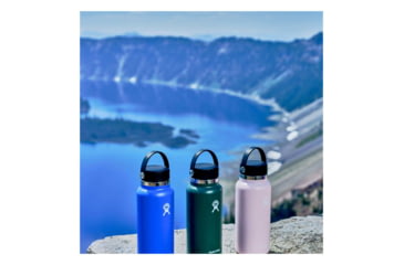 Image of Hydro Flask Wide Flex Cap, Trillium, 32 oz, W32BTS678