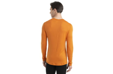 Image of Icebreaker 260 Tech Long Sleeve Crewe Thermal Top - Men's, Earth, Small, IB104371865S