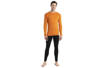 Image of Icebreaker 260 Tech Long Sleeve Crewe Thermal Top - Mens, Earth, Small, IB104371865S