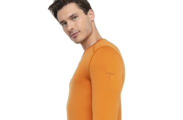 Image of Icebreaker 260 Tech Long Sleeve Crewe Thermal Top - Mens, Earth, Small, IB104371865S