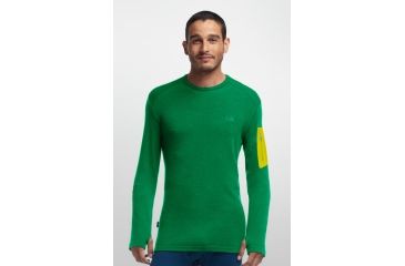 Image of Icebreaker Apex Long Sleeve Crew Mountain Icon Top - Men's-Lucky-Small