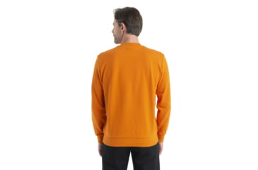 Image of Icebreaker Central II Long Sleeve Sweatshirt - Mens, Earth, Extra Large, IB0A56KZ865XL