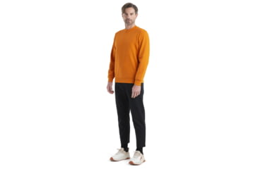 Image of Icebreaker Central II Long Sleeve Sweatshirt - Mens, Earth, Extra Large, IB0A56KZ865XL