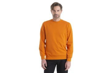 Image of Icebreaker Central II Long Sleeve Sweatshirt - Mens, Earth, Extra Large, IB0A56KZ865XL