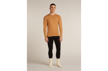Image of Icebreaker Merino 260 Tech Long Sleeve Crew Thermal Top - Mens, Trail, Extra Large, IB1043710GRXL