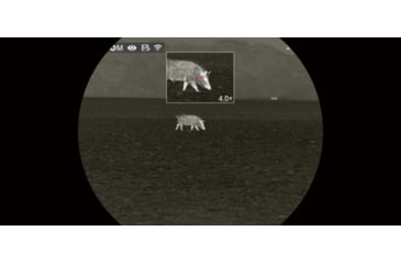 Image of Infiray AFFO Series 25mm Thermal Imaging Monocular, Gray, Medium, AFFO AL25