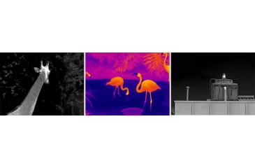 Image of Infiray E2N Thermal Imaging Monocular, Green, E2n