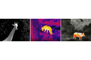 Image of Infiray E3W Thermal Imaging Monocular, Green and Black, EYE 1-E3W