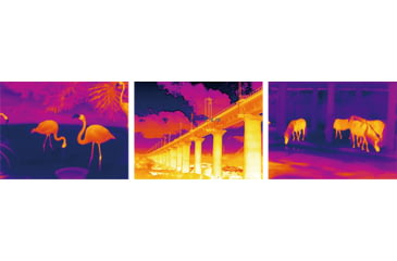 Image of Infiray T3 Pro Thermal Imaging Camera, Phone Attachement, Black, T3PRO