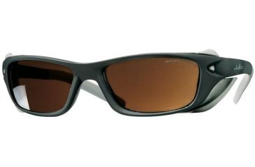 Image of Julbo Legend Sun glasses 330114