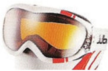 Image of Julbo team Edition Goggle M219311
