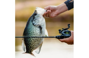 Image of Kast King Kestrel Finesse Fishing Rod, Spinning 52 / Fast-Feather Light-2pcs, KKRDSPNKS52FLSF2