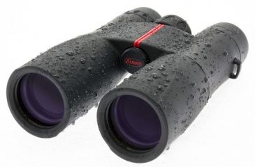 Image of Kowa SV Series, 10x42 Roof Prism Binocular, Black, 42mm SV42-10