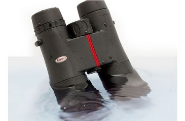 Image of Kowa SV Series, 10x42 Roof Prism Binocular, Black, 42mm SV42-10