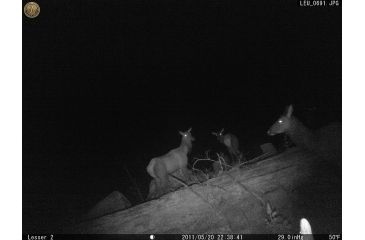 Image of Leupold 8 Megapixel RCX-1 Trail Camera Sample Image