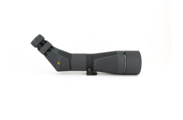 Image of Leupold SX-4 Pro Guide 20-60x85 HD Spotting Scope, Angled, Shadow Gray, 177597