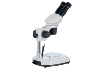 Image of Levenhuk 20-40x 4ST Binocular Microscope, White, Middle, 76055