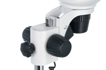 Image of Levenhuk 20-40x 4ST Binocular Microscope, White, Middle, 76055