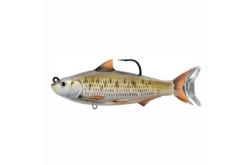 Image of Live Target Cmn Shiner 4 SS,MSV,Slvr/Brnz,4/0,3/4oz CSS100MS205