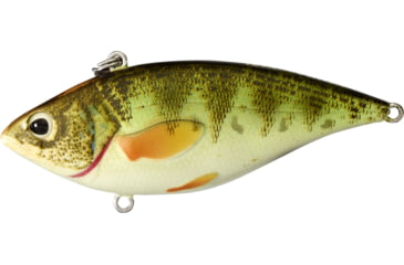 Image of Live Target Yellow Perch Rattlebait