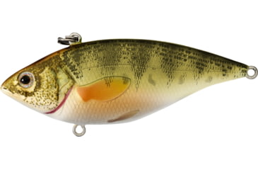 Image of Live Target Yellow Perch Rattlebait