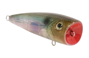 Image of Livingston Lures Walk N Pop 67 Lure, Ghost Gizzard Shad, 5339