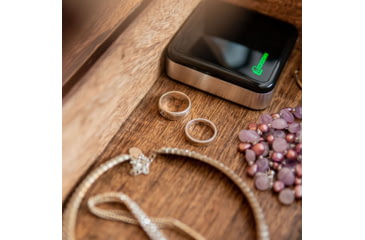 Image of Lockdown Puck Monitoring Device, Black/Silver, 1099416