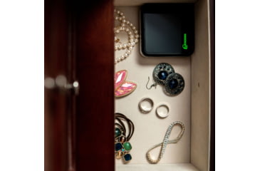 Image of Lockdown Puck Monitoring Device, Black/Silver, 1099416