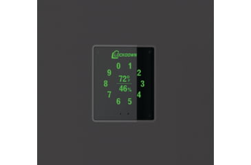 Image of Lockdown Vault Door, Out Swing, 28/30in, LH, Black, 1118815