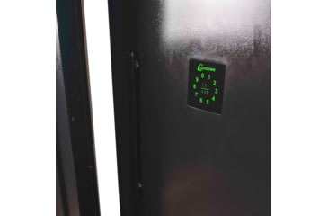 Image of Lockdown Vault Door, Out Swing, 28/30in, LH, Black, 1118815