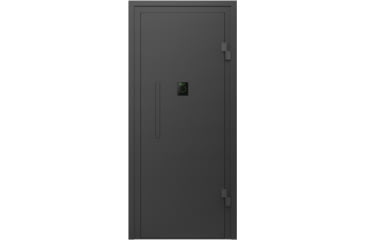 Image of Lockdown Vault Door, Out Swing, 28/30in, RH, Black, 1118816