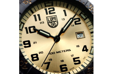 Image of Luminox Leatherback Sea Turtle Giant Outdoor Watch, Gold/black - XS0325GP