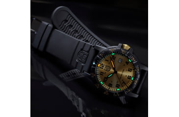 Image of Luminox Leatherback Sea Turtle Giant Outdoor Watch, Gold/black - XS0325GP