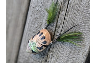 Image of Lunkerhunt Battle Beetle Bait, Canopy, 2.25in &amp; 5/8 oz, BEET01