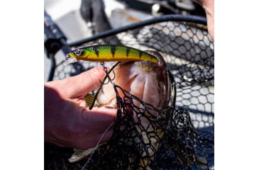 Image of Lunkerhunt Impact Distress 6F Bait, Jumbo, 3.5in &amp; 1/2 oz, IMJKB04