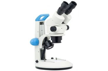 Image of LW Scientific Z4 Binocular Microscope on Dual LED Stand, CREAM Z4M-BZM7-7LL1