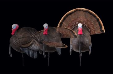 Image of MAD Spin-N Strut Turkey Decoy, Brown, MD-735