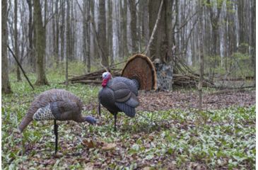 Image of MAD Spin-N Strut Turkey Decoy, Brown, MD-735