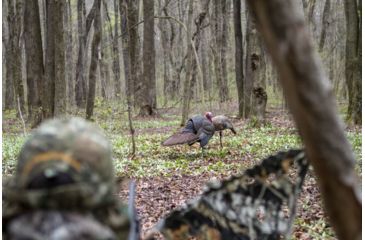 Image of MAD Spin-N Strut Turkey Decoy, Brown, MD-735