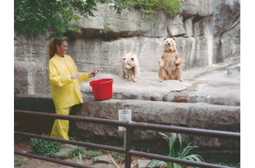 Image of MCR Safety Zodiac Series Lightweight 3 Piece Waterproof Rain Suit, .10mm Single Ply PVC, Rain Jacket, Detachable Hood and Bib Pants, Yellow, 4X, O503X4