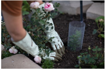 Image of Mechanix Wear Ethel Garden Rose Gauntlet Cuff Gloves - Womens, Rendezvous, Large, ETH-RSE-530