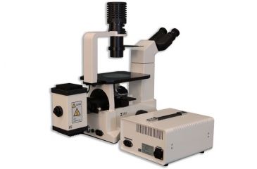 Image of Meiji Techno Binocular Inverted Epi-Fluorescense Biological Microscope, TC-5500